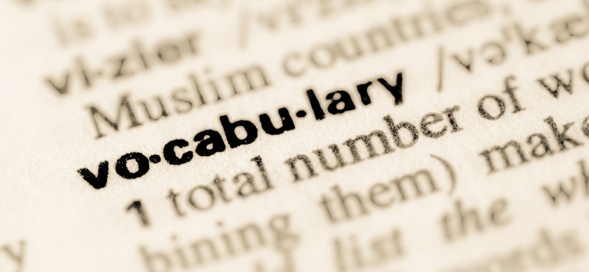 Dictionary definition of word vocabulary